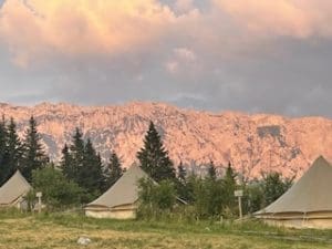 thumbnail_IMG_1935